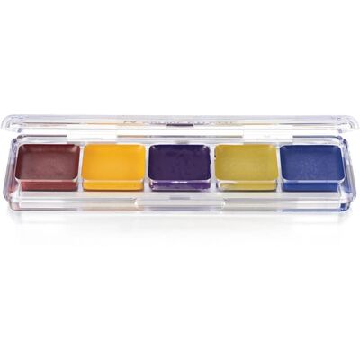 Ben Nye Bruise FX Alcohol Palette Ben Nye Bruise FX Alcohol Palette