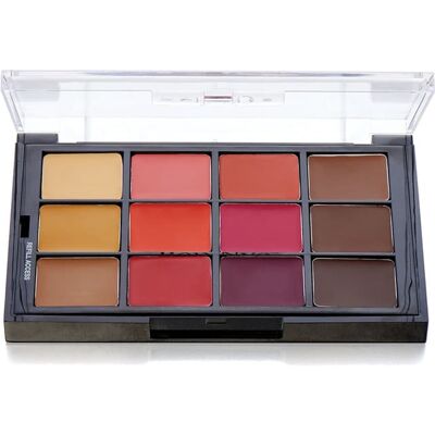 Ben Nye Medium-Dark Contour Palette Ben Nye Medium-Dark Contour Palette