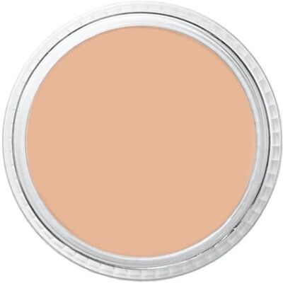 Ben Nye MediaPro Concealer & Adjuster Tattoo Cover No.2 Ben Nye MediaPro Concealer & Adjuster Tattoo Cover No.2