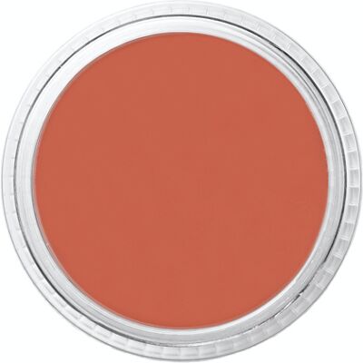 Ben Nye MediaPro Concealer & Adjuster Brick Ben Nye MediaPro Concealer & Adjuster Brick