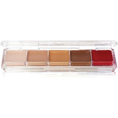 Ben Nye Tattoo Cover Alcohol Palette Ben Nye Tattoo Cover Alcohol Palette