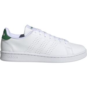 Adidas Advantage Hvit 39