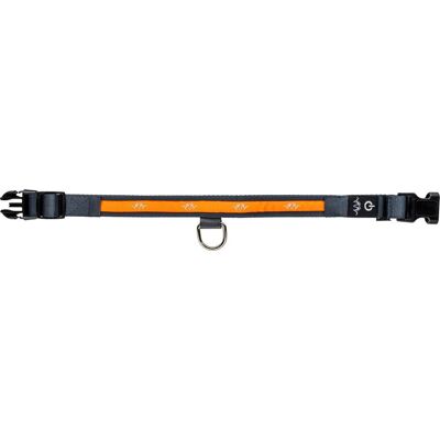 Blaser Hundehalsbånd LED Orange L: 49-59 cm Blaser Hundehalsbånd LED Orange L: 49-59 cm