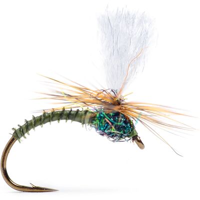 Guideline Klink Dk. Olive Biot #16 Guideline Klink Dk. Olive Biot #16