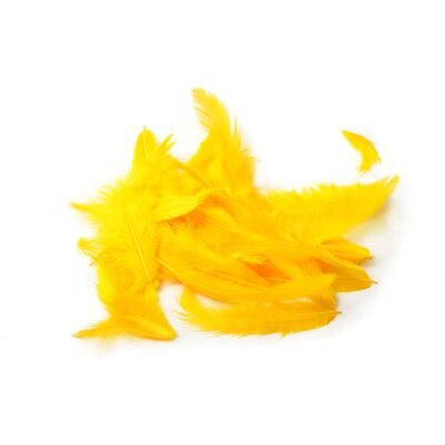 Hareline Metz Soft Hackle Chartreuse Hareline Metz Soft Hackle Chartreuse
