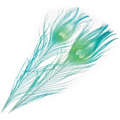 Frodin Flies Peacock Eye Feathers Clear Water Blue Frodin Flies Peacock Eye Feathers Clear Water Blue