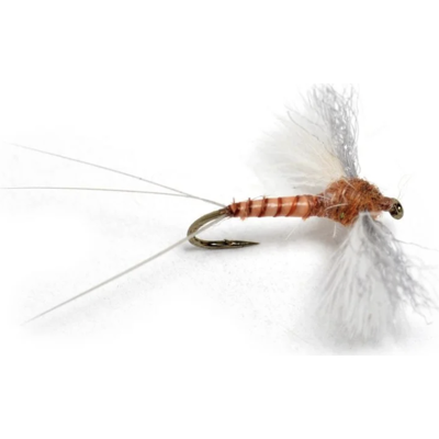 Umpqua Flies Cdc Biot Spinner Rusty #14 Umpqua Flies Cdc Biot Spinner Rusty #14
