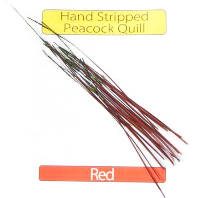 Veniard Stripped Peacock Quills Orange Veniard Stripped Peacock Quills Orange