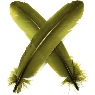 Veniard Turkey Broad Wing Quill Dyed Medium Olive Veniard Turkey Broad Wing Quill Dyed Medium Olive