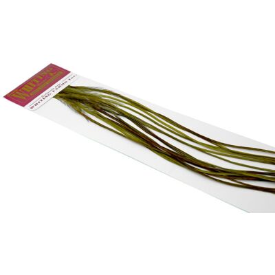 Whiting 100'S Saddle Grizzly dyed Olive #16 Whiting 100'S Saddle Grizzly dyed Olive #16