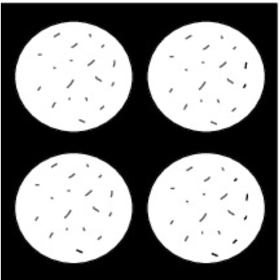 Arvid Nilsson Møbelfilt Hvit Selvklebende 25 Mm 8-Pk Hvit Arvid Nilsson Møbelfilt Hvit Selvklebende 25 Mm 8-Pk Hvit