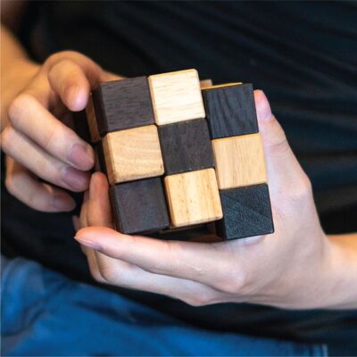 Slange Kube Iq-Nøtt Slange Kube Iq-Nøtt