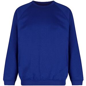 Trutex Limited Unisex Crew Neck Plain Sweatshirt, Cobalt, 5-6 Years (Manufacturer Size: 22-23" Chest) Trutex Limited Unisex Crew Neck Plain Sweatshirt, Cobalt, 5-6 Years (Manufacturer Size: 22-23" Chest)