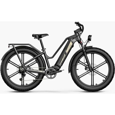 Fiido Titan Touring Elektrisk Fatbike - Inntil 347 Km (Grå) Fiido Titan Touring Elektrisk Fatbike - Inntil 347 Km (Grå)