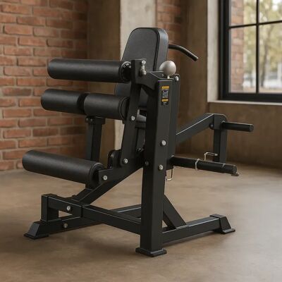 ISL Leg Extension/curl Maskin Insportline X-Nt Le20 ISL Leg Extension/curl Maskin Insportline X-Nt Le20