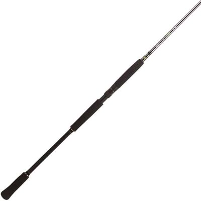 BFT Raptor G2 Pike Spin 8' -100g - 2pcs Haspel BFT Raptor G2 Pike Spin 8' -100g - 2pcs Haspel