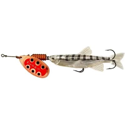 Mepps Aglia Spinner TW Mino 4 13,5g Copper Mepps Aglia Spinner TW Mino 4 13,5g Copper