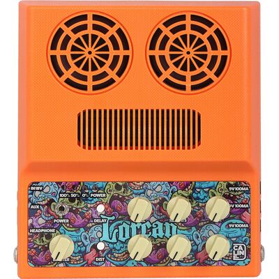 Caline CA-100G gitarforsterker Caline CA-100G gitarforsterker