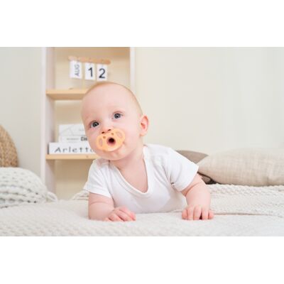 MOMBELLA Koala Soothie Daytime Pacifier MOMBELLA Koala Soothie Daytime Pacifier