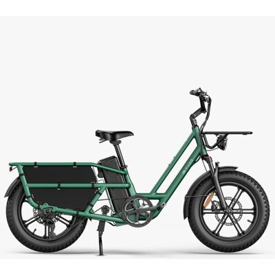 Fiido T2 Longtail Elektrisk Lastesykkel (Grønn) Fiido T2 Longtail Elektrisk Lastesykkel (Grønn)