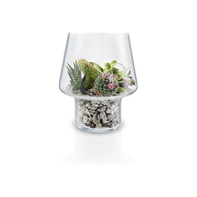 Eva Solo Glasvas sukkulenter 15 cm Eva Solo Glasvas sukkulenter 15 cm