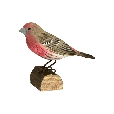 Wildlife Garden DecoBird Husfink Wildlife Garden DecoBird Husfink