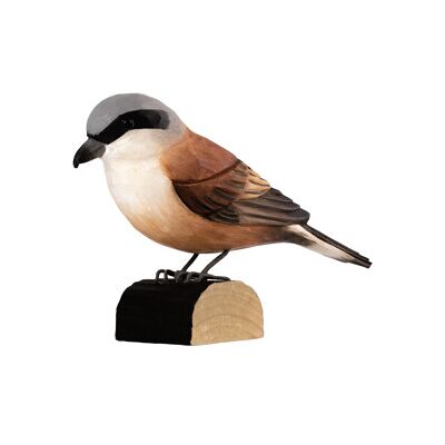 Wildlife Garden DecoBird Tornskate Wildlife Garden DecoBird Tornskate