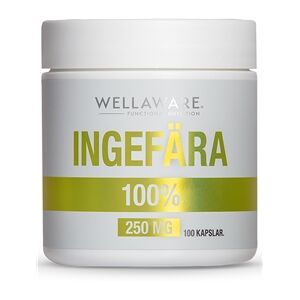 WellAware Ingefära 100 kapsler WellAware Ingefära 100 kapsler