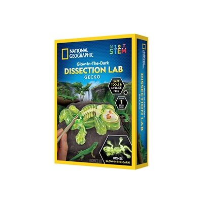 National Geographic Gecko Dissection Lab - Eksperimentkasse National Geographic Gecko Dissection Lab - Eksperimentkasse