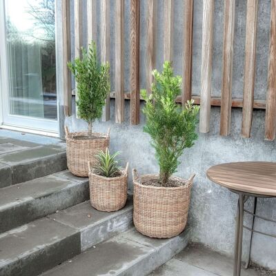 Stock Group Blomsterpotter I Rotting 3 Stk I Pakke Stock Group Blomsterpotter I Rotting 3 Stk I Pakke