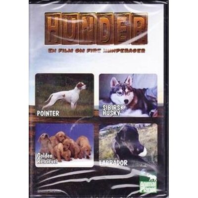 Ess Film Hunder - En Film Om Fire Hunderaser (Dvd) Ess Film Hunder - En Film Om Fire Hunderaser (Dvd)