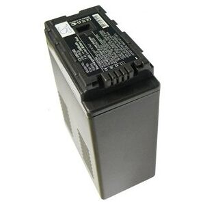 Panasonic SDR-H258GK batteri (4400 mAh 7.4 V)