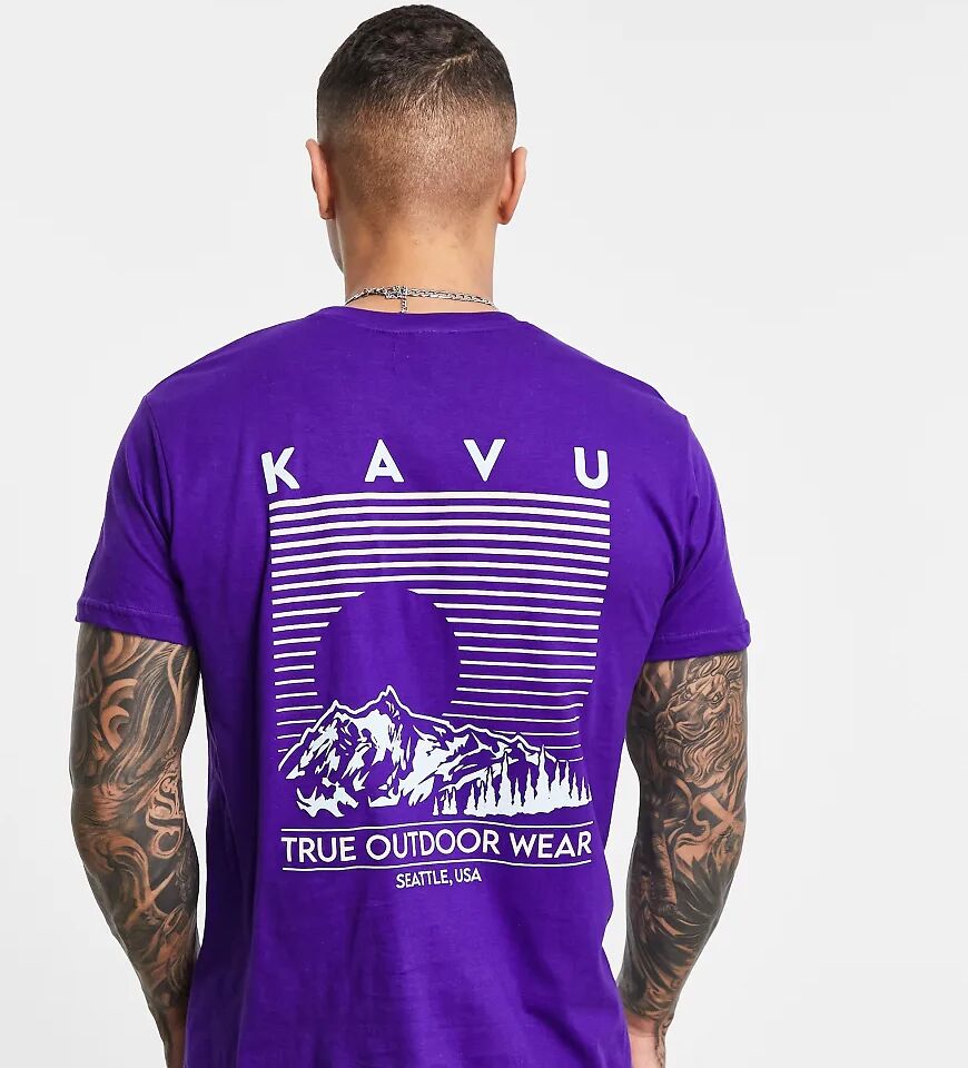 Kavu Landscape back print t-shirt in purple Exclusive at ASOS  Purple