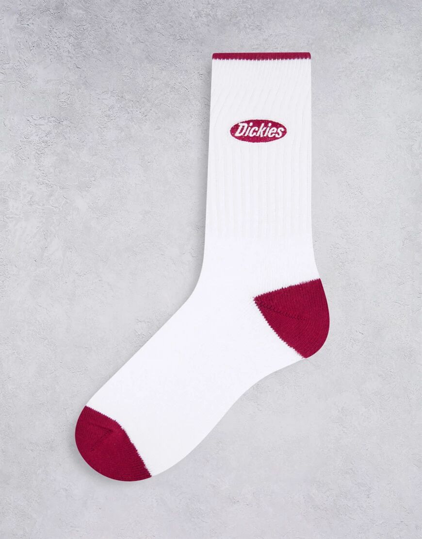 Dickies Saxman socks in ecru-White  White