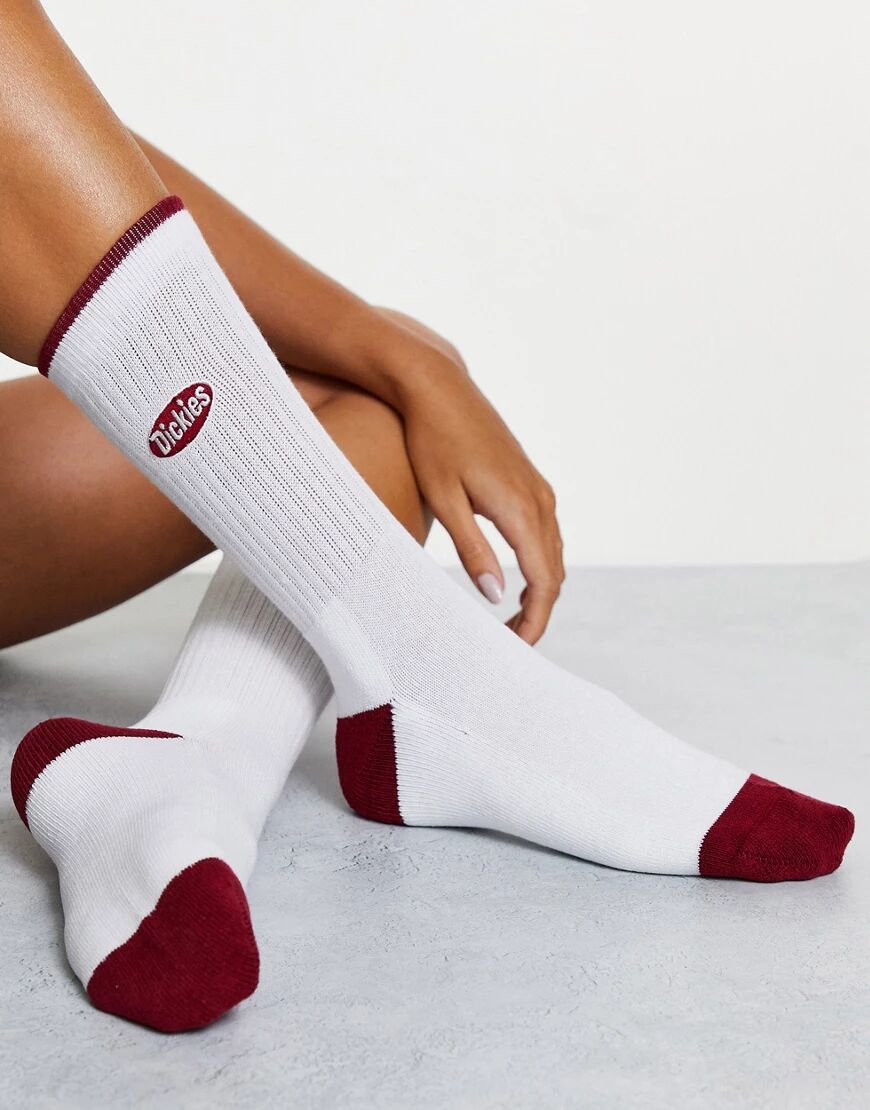 Dickies Saxman socks in ecru-White  White