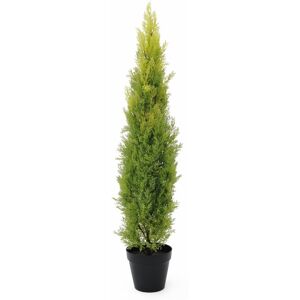 Europalms Cypress, Leyland, 120cm