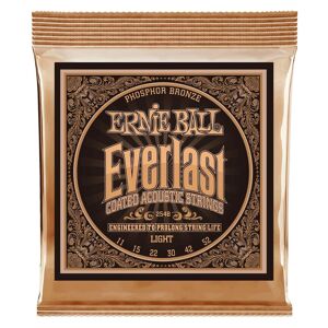 Ernie Ball Eb-2548 Everlast Light (011-052) Phosphor Bronze
