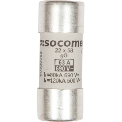 EFA Sikring 63A gG 690V 22x58mm - 112511 EFA Sikring 63A gG 690V 22x58mm - 112511