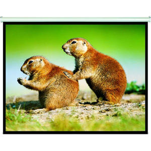 Manual Projection Screen 4:3 - 100