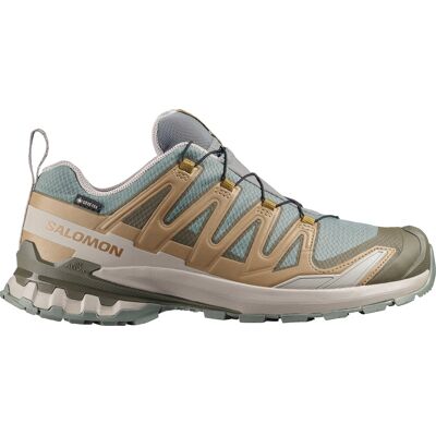 Salomon Men's XA 3D Pro V9 GORE-TEX Sedona Sage/Plantation/Paloma Sedona Sage / Plantation / Paloma 48 Salomon Men's XA 3D Pro V9 GORE-TEX Sedona Sage/Plantation/Paloma Sedona Sage / Plantation / Paloma 48