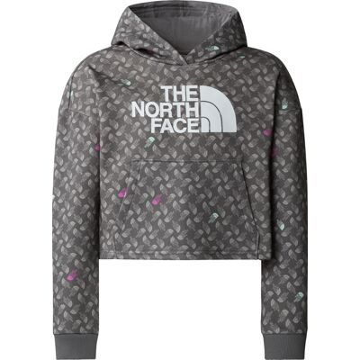 The North Face Girls' Light Drew Peak Printed Hoodie Smoked Pearl TNF Shadow M The North Face Girls' Light Drew Peak Printed Hoodie Smoked Pearl TNF Shadow M