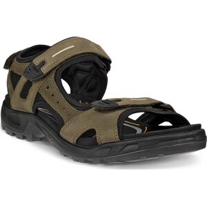 Ecco Men's Yucatan Sandal Tarmac/Tarmac 44 Ecco Men's Yucatan Sandal Tarmac/Tarmac 44
