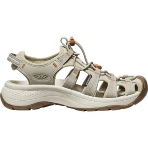 Keen Women's Astoria West Sandal Taupe/Roasted Pecan 37 Keen Women's Astoria West Sandal Taupe/Roasted Pecan 37