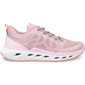 Ecco Women's Biom 720 Violet Ice/violet Ice/liliac Ciffon 36 Ecco Women's Biom 720 Violet Ice/violet Ice/liliac Ciffon 36