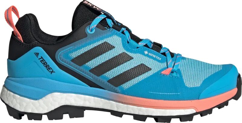 Adidas Women's Terrex Skychaser GORE-TEX 2.0 Hiking Shoes Blå