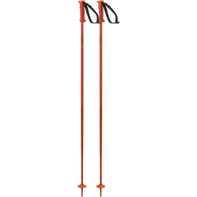 Salomon Polar Cherry Tomato 120 Salomon Polar Cherry Tomato 120
