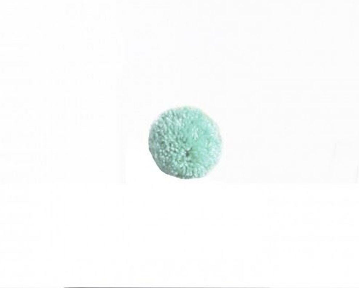 Fayne Pompom, Mint