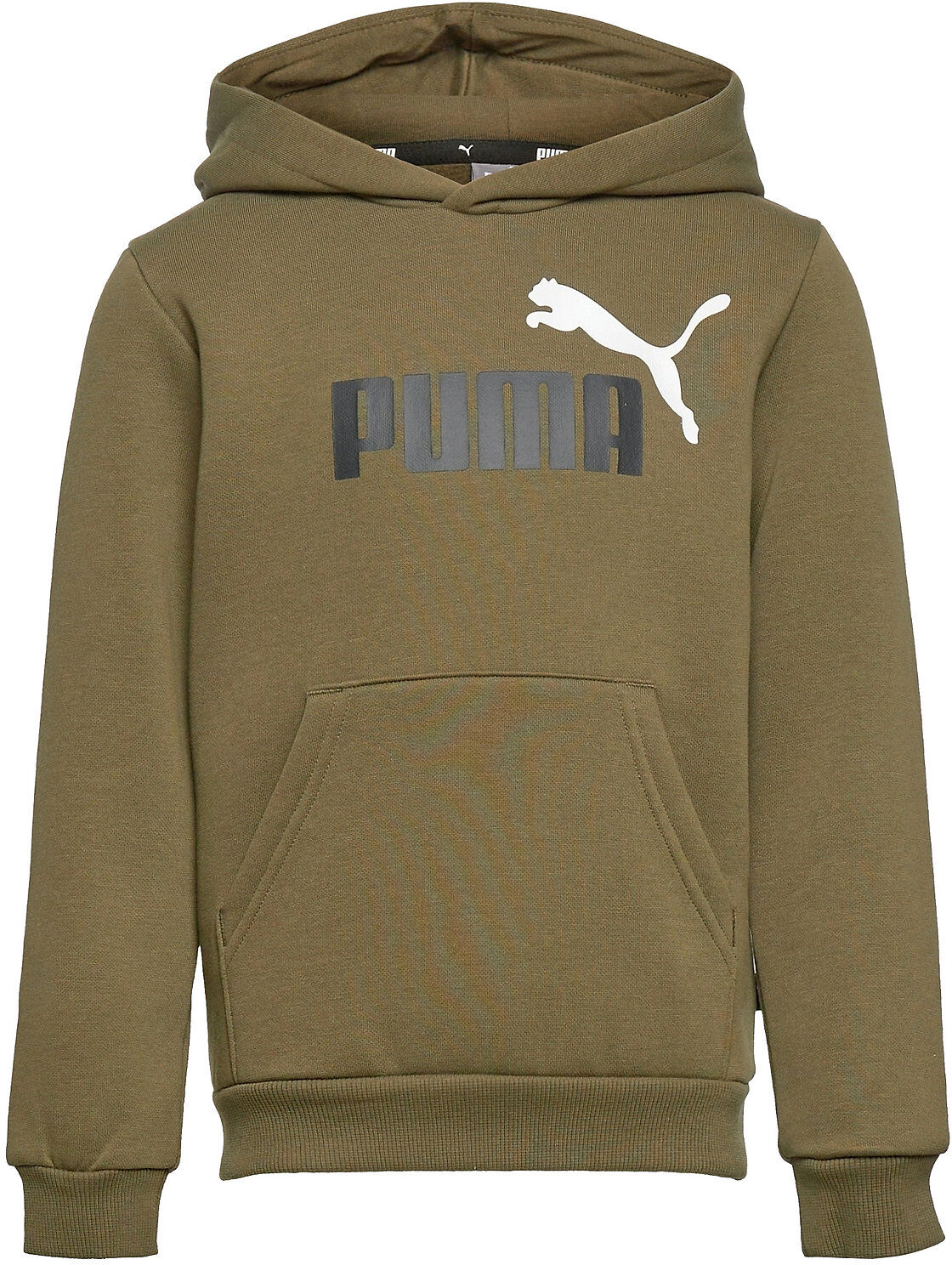 PUMA Ess+ 2 Col Big Logo Hoodie Fl B Hettegenser Genser Grønn PUMA