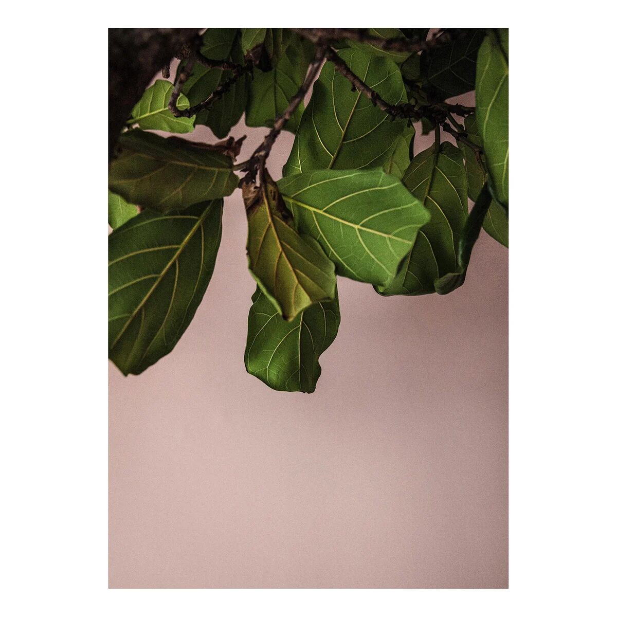 Paper Collective Green Leaves poster 50x70 cm