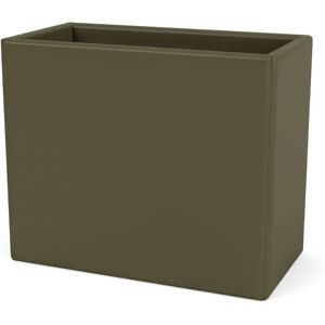 Montana Collect Organizer oregano 139